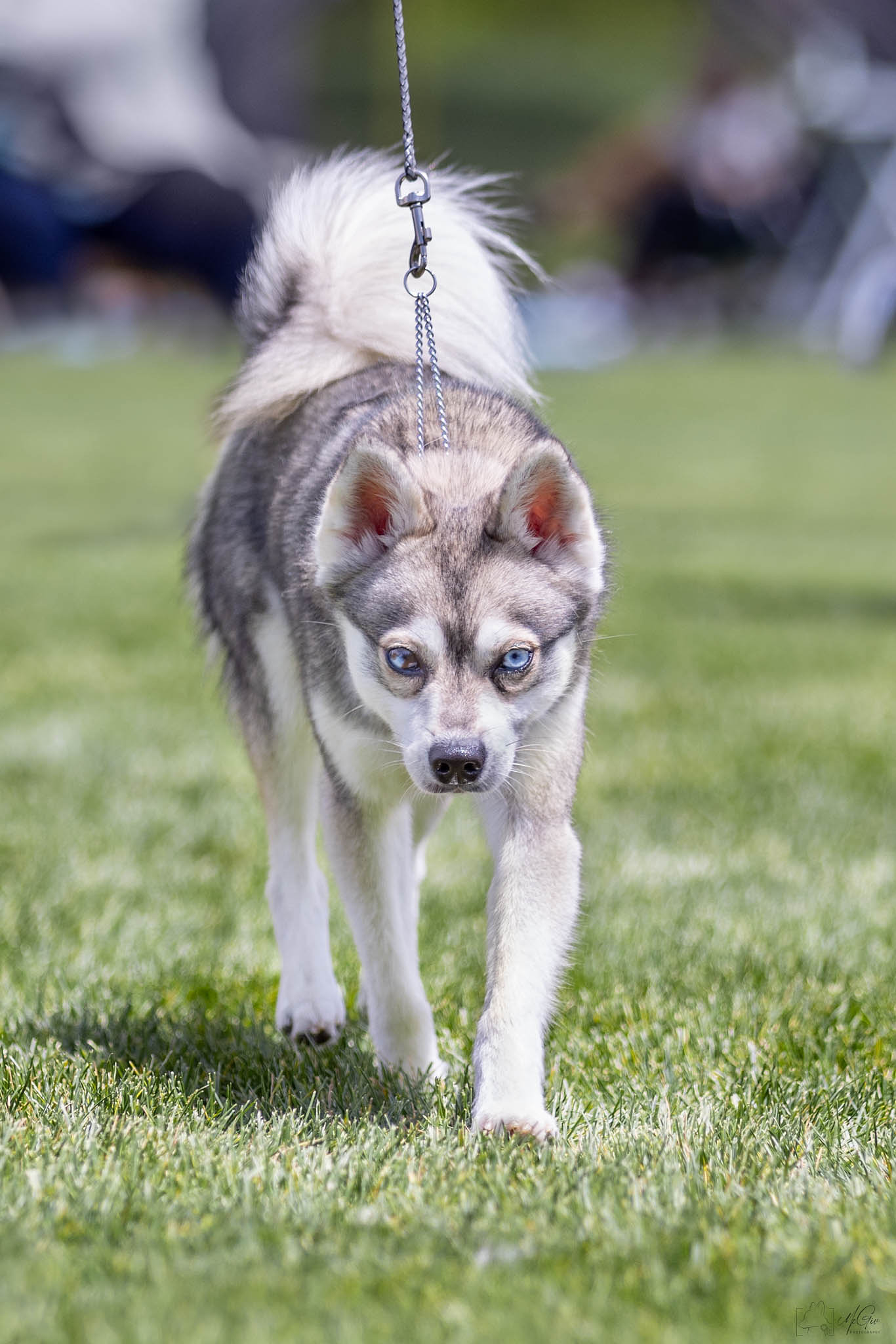 By McGiv Photography